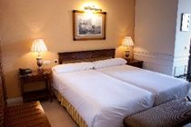 Guadalpin Suites 3*
