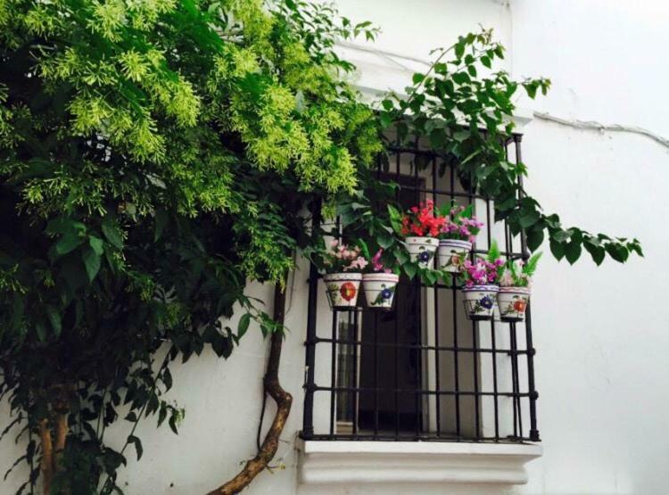 In Old Town Apartment *