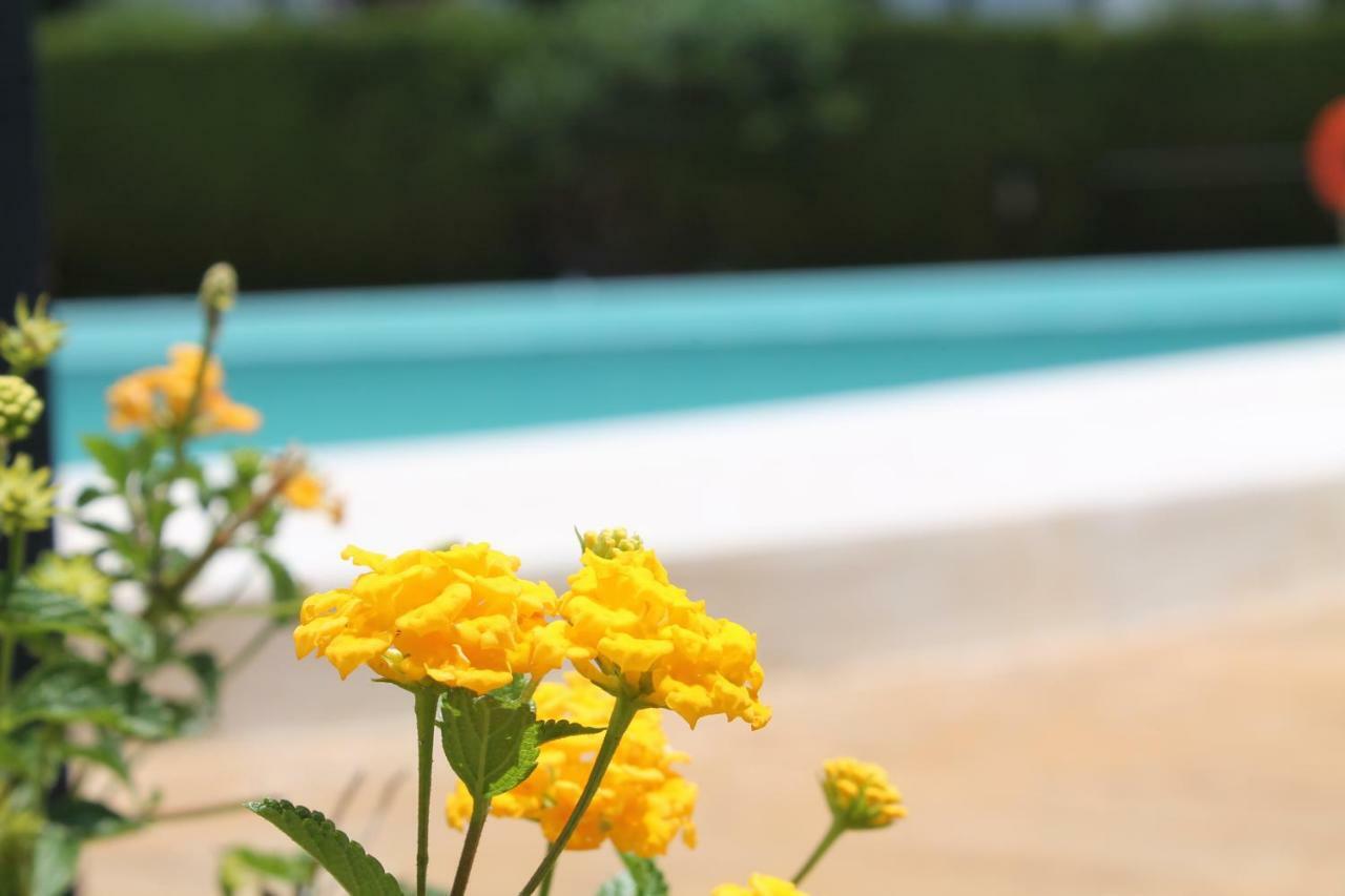 Ferienhaus Rooftop - Chalet En Cabo Pino Con Vistas Al Mar, Jardines Y Piscina Marbella
