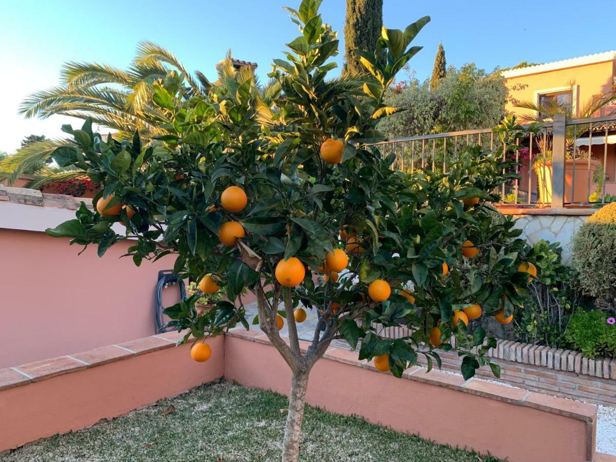 Villa Exclusive Andalusian El Pino In Cabopino