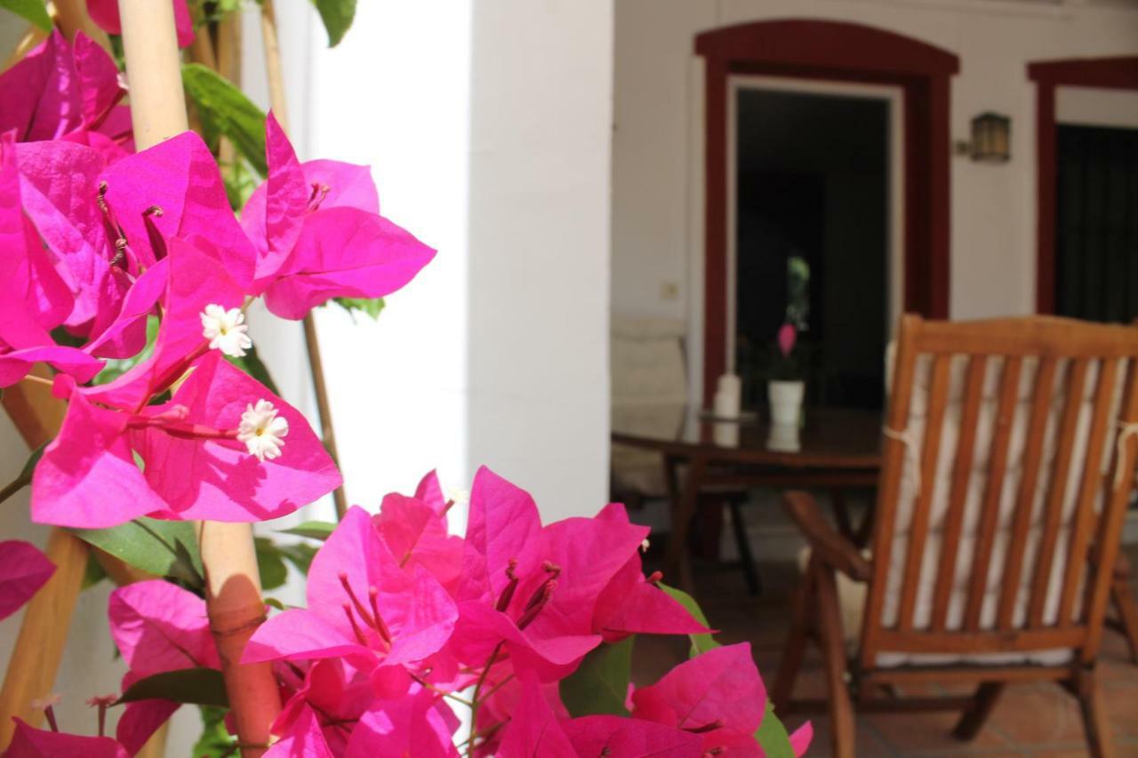 Ferienhaus Rooftop - Chalet En Cabo Pino Con Vistas Al Mar, Jardines Y Piscina