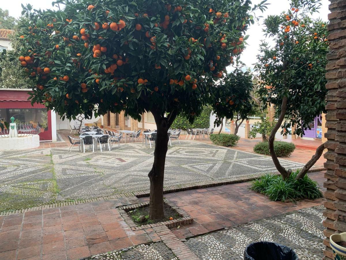 Exclusive Andalusian El Pino In Cabopino *